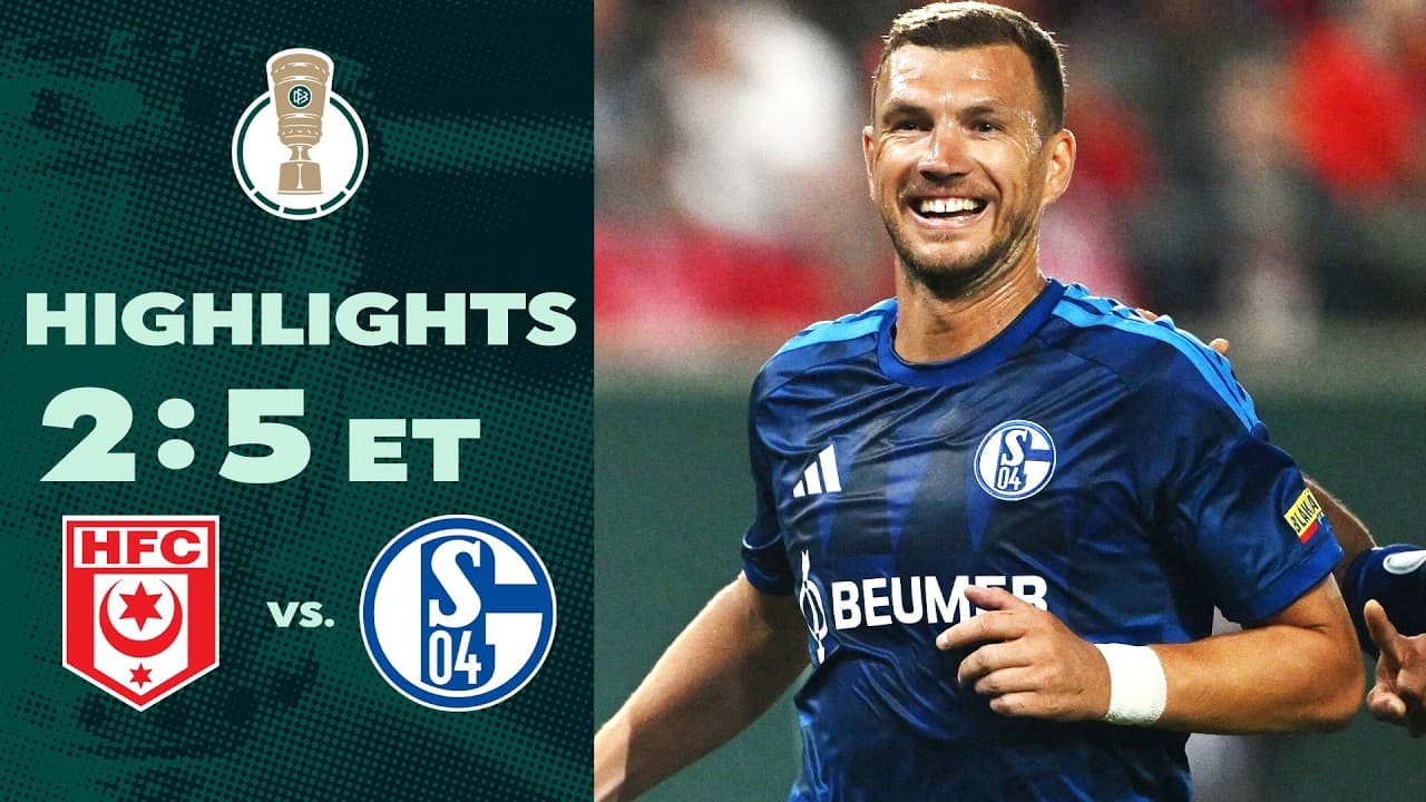 Hallescher FC vs. FC Schalke 04 thumbnail